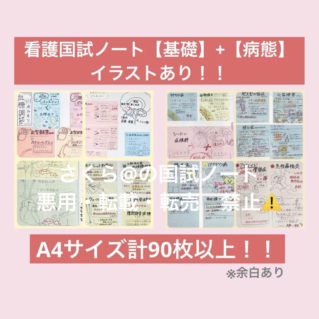 看護【国試対策ノート】【基礎】+【病態】A4サイズ余白あり！勉強・暗記に大活躍！