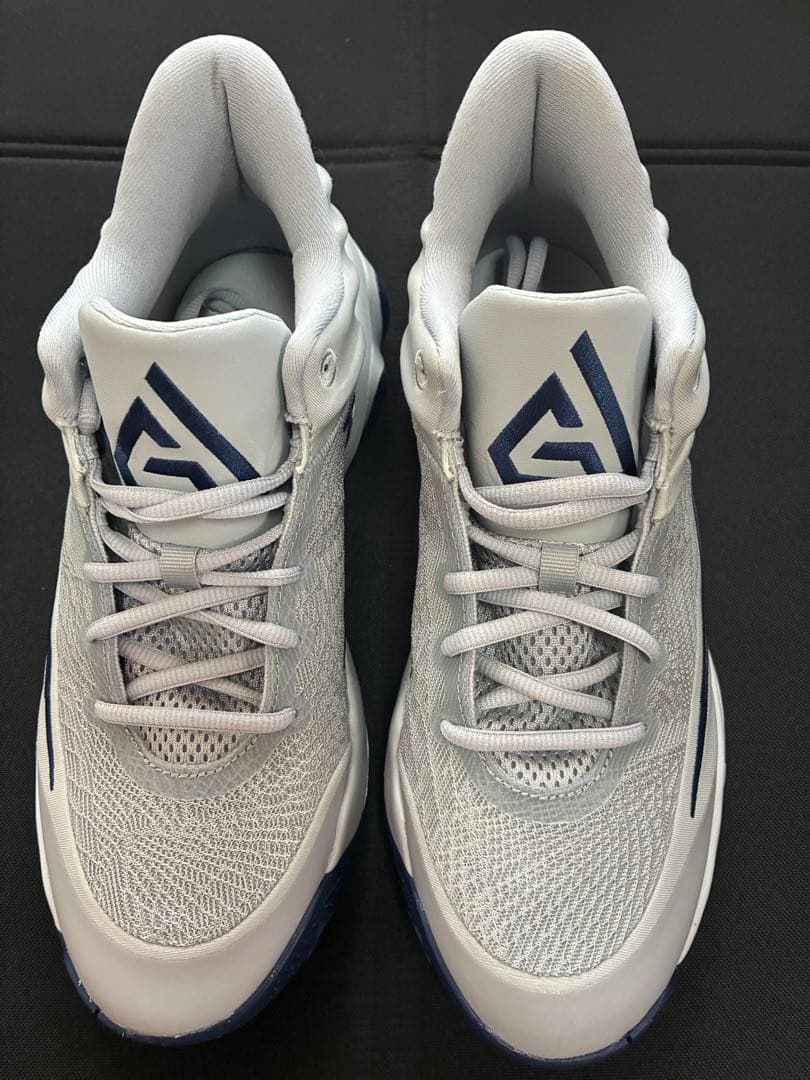 [ Nike ヤニスイモータリティ4EP ] 27.0㎝