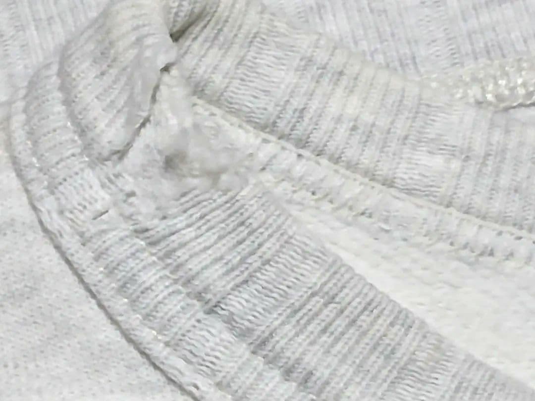 復刻ランタグ チャンピオン Tennessee State ロゴ