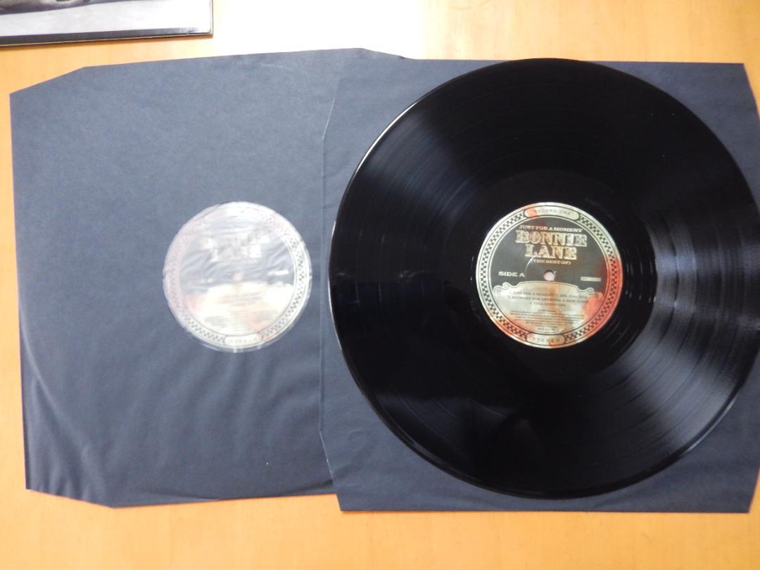 Ronnie Lane LPレコード 2枚セット　まとめ売り Ronnie Lane LPレコード 2枚セットまとめ売り