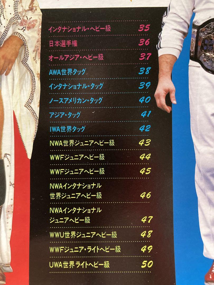 栄光の輝き　プロレスチャンピオンベルト　ベースボール・マガジンさ社 実物大 栄光の輝き プロレスチャンピオンベルト ベースボール