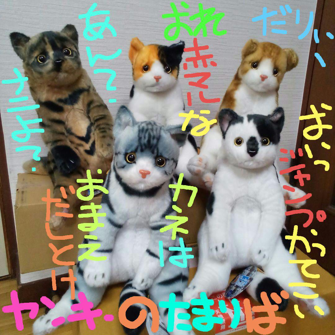 すわっちぃzooにゃんこ 詰め合わせ