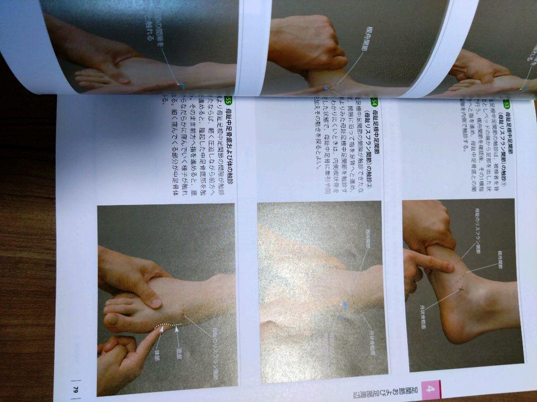セール 一番安い 触診技術下肢 ナース 看護師 ケアマネ 作業療法士 理学療法士 健康・医学