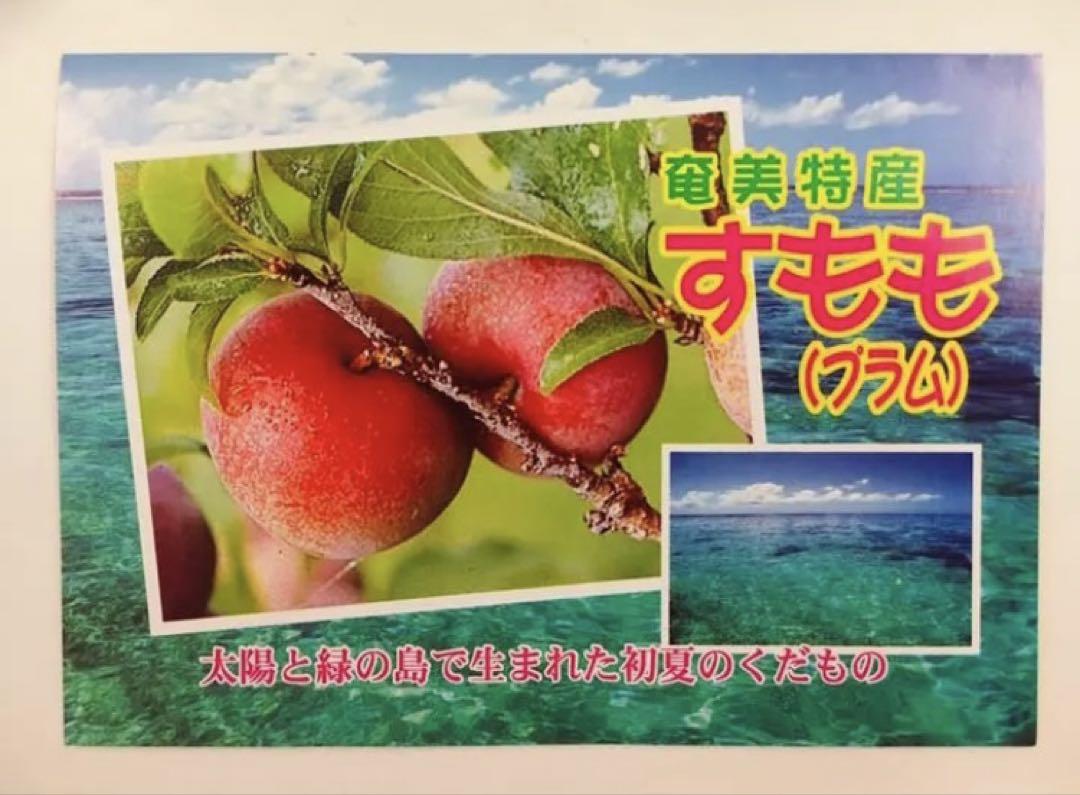 ★奄美大島産★奄美の特産！奄美プラム　ガラリ　2キロ