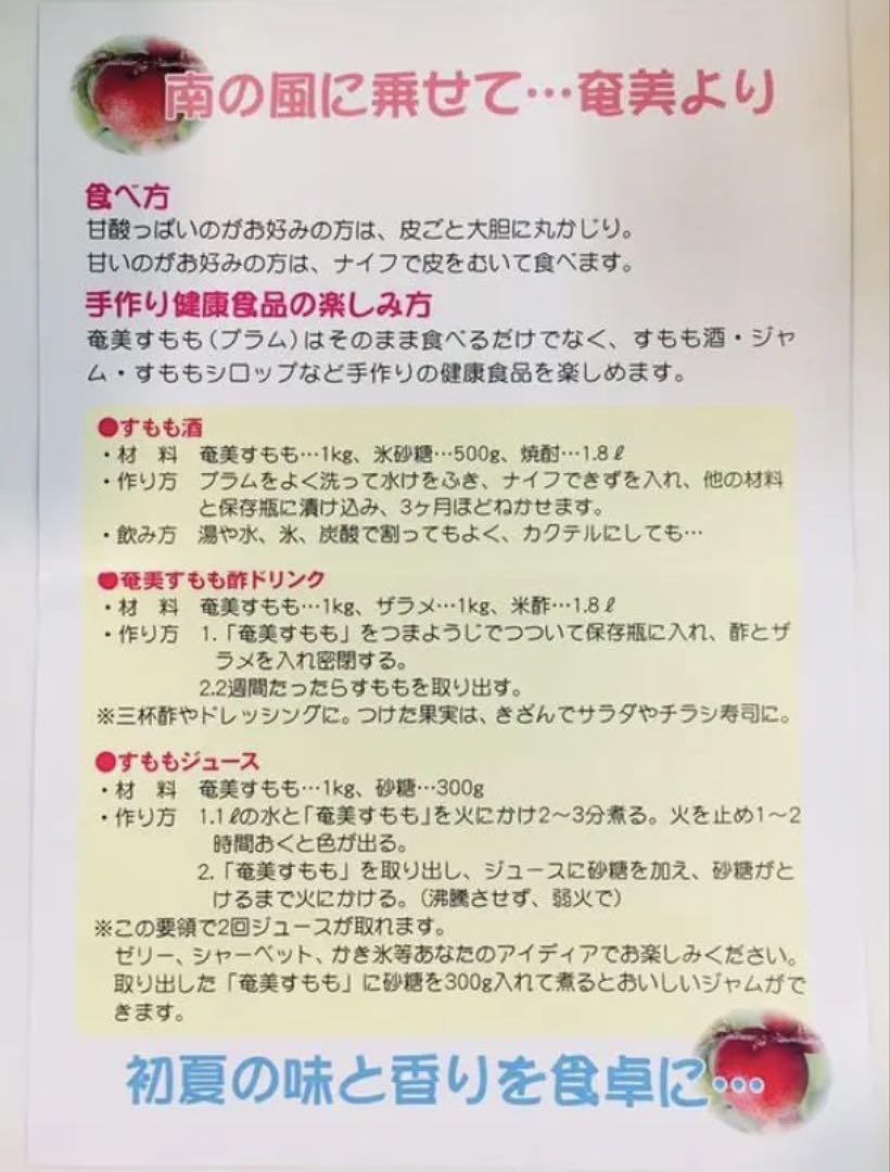 ★奄美大島産★奄美の特産！奄美プラム　ガラリ　2キロ