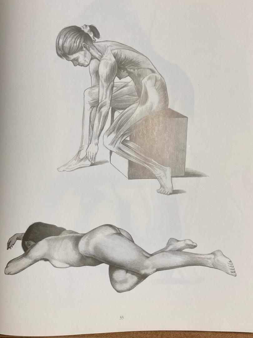 最終値下げ【解剖・デッサン】Anatomische Zeichenschule