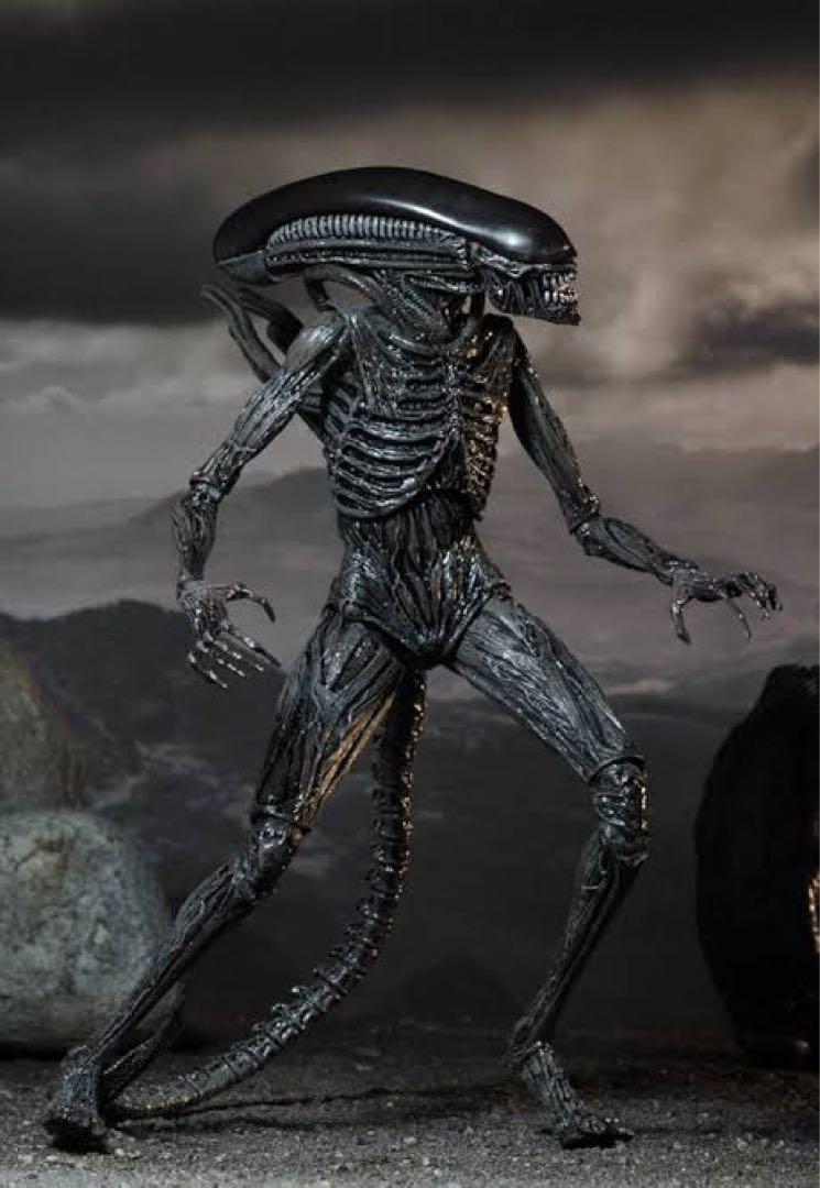 激レア NECA エイリアン コヴェナント ゼノモーフ ALIEN プロトモーフ