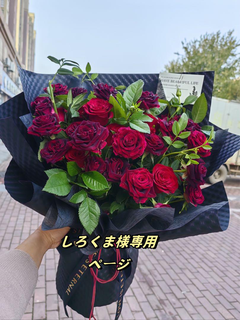 しろくま様専用ページ