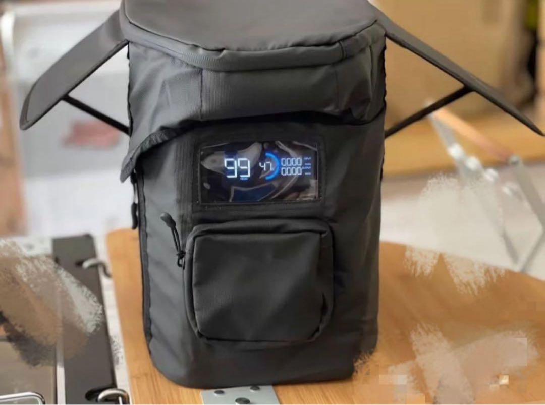 EcoFlow Delta 2 バッグ 新品未使用