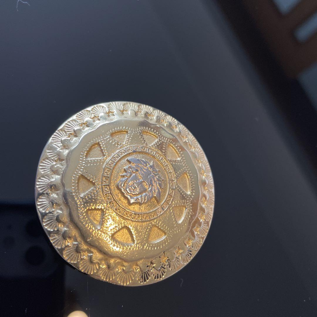 Versace hair clip ヴェルサーチヘアピン　ごー