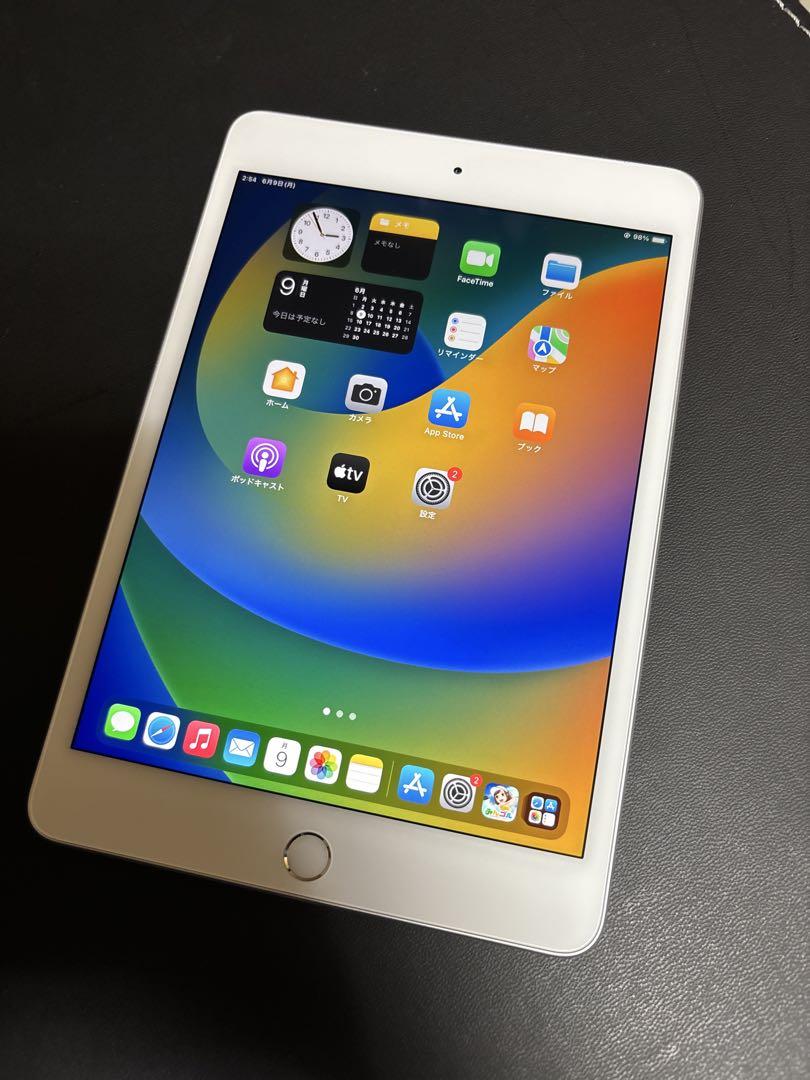 Apple iPad mini 5 セルラー 第5世代 64GB sim解除