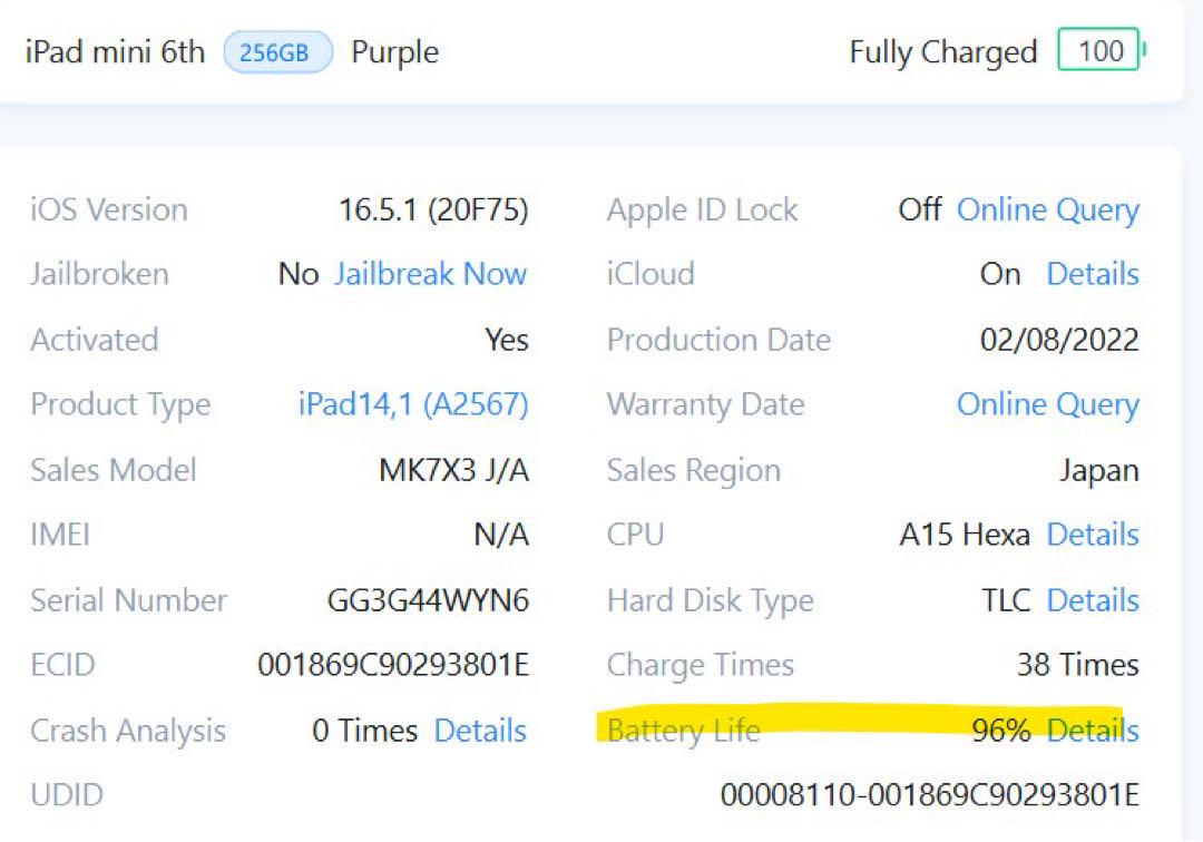 Apple iPad mini 第6世代 256GB ★極美品★バッテリー96%