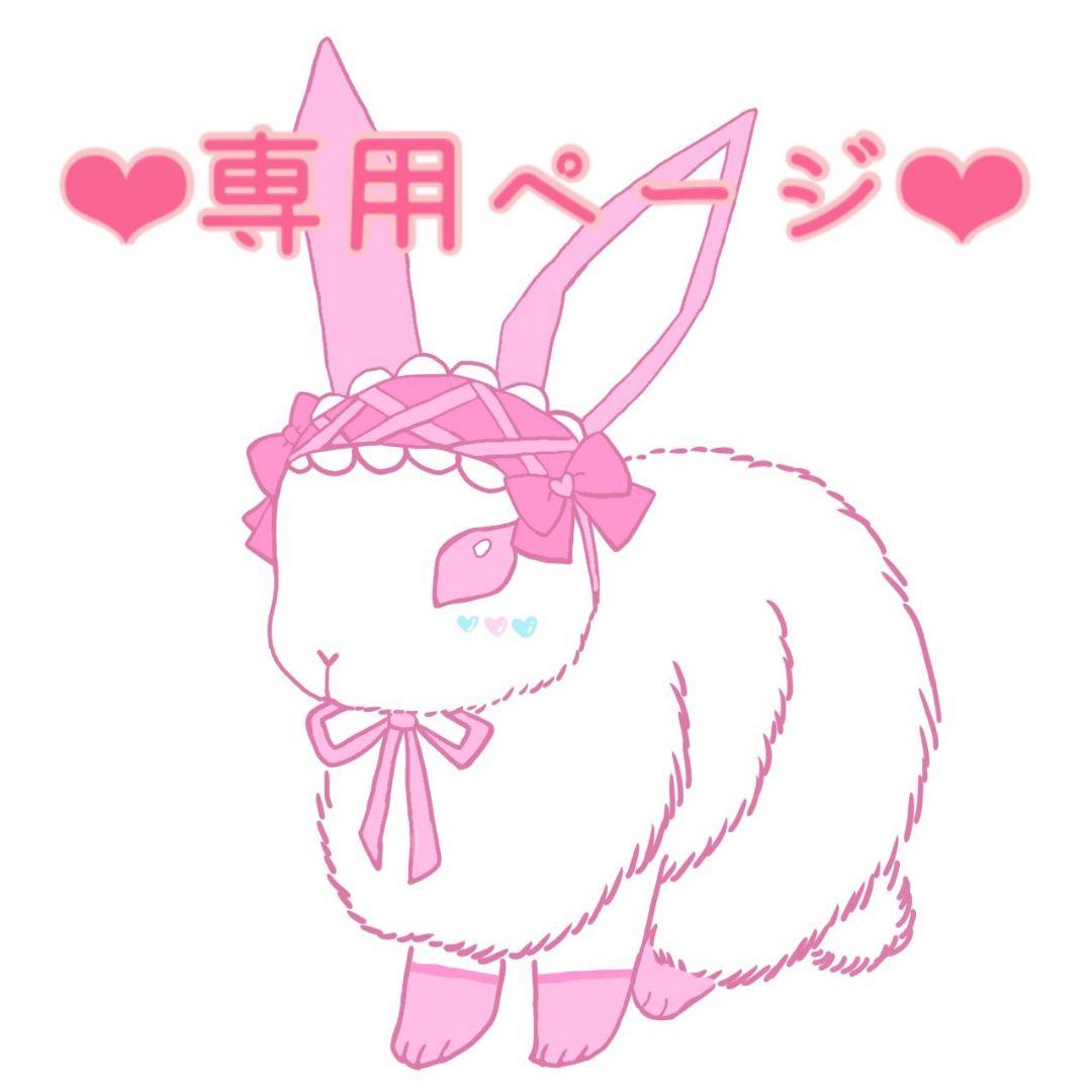 シュナ様♡専用ページ♡ハンドメイド　トリミングチョーカー シュナ様♡専用ページ♡ハンドメイド トリミングチョーカー