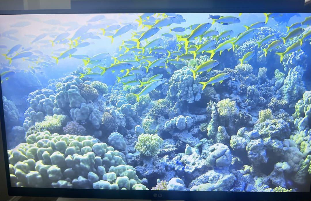 葵LG モニター ディスプレイ 27UL850-W 27インチ 4K