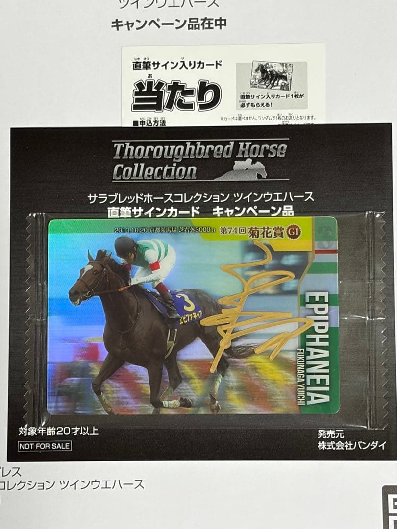 ︎直筆サイン入り ︎エピファネイア 福永祐一元騎手 サラブレッドホース UP786_INFO