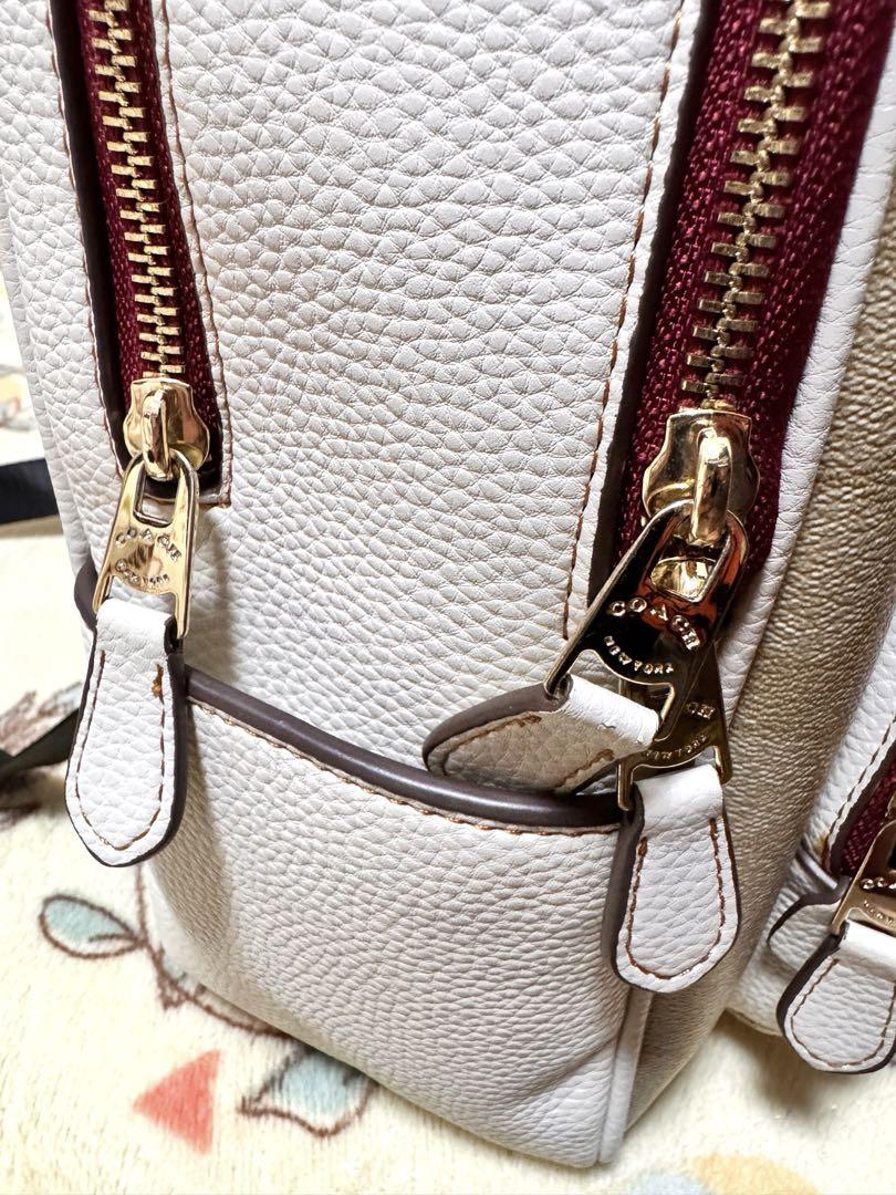 【美品】COACH リュック タイガー リュックサック バックパック