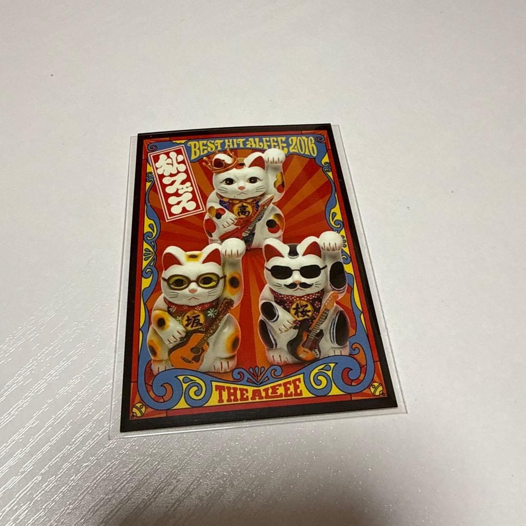 高見沢さん トレカ