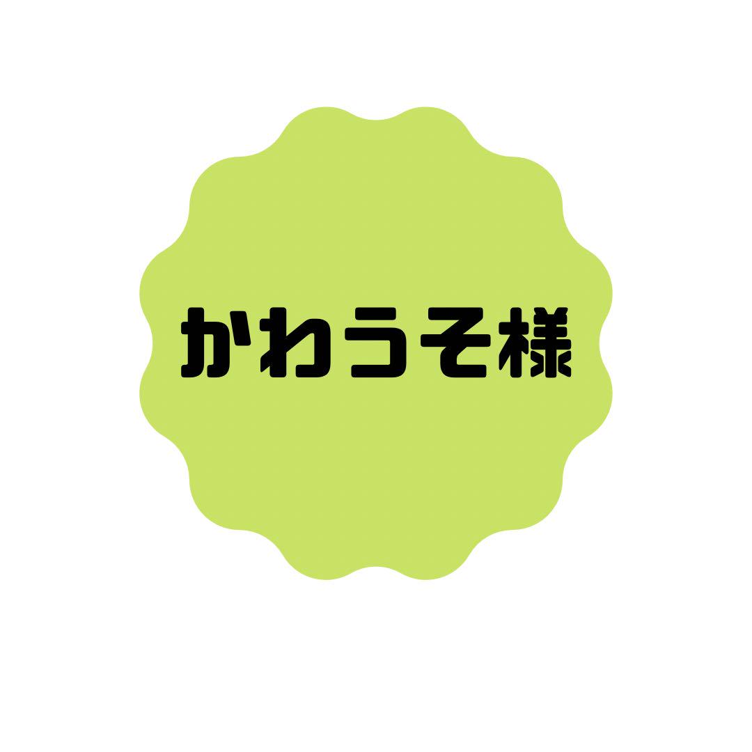 かわうそ様 ウィッグオーダー見積もり
