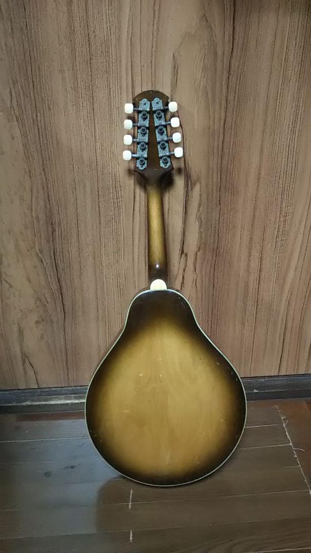 Suzuki Violin フラットマンドリン 鈴木バイオリン - メルカリ
