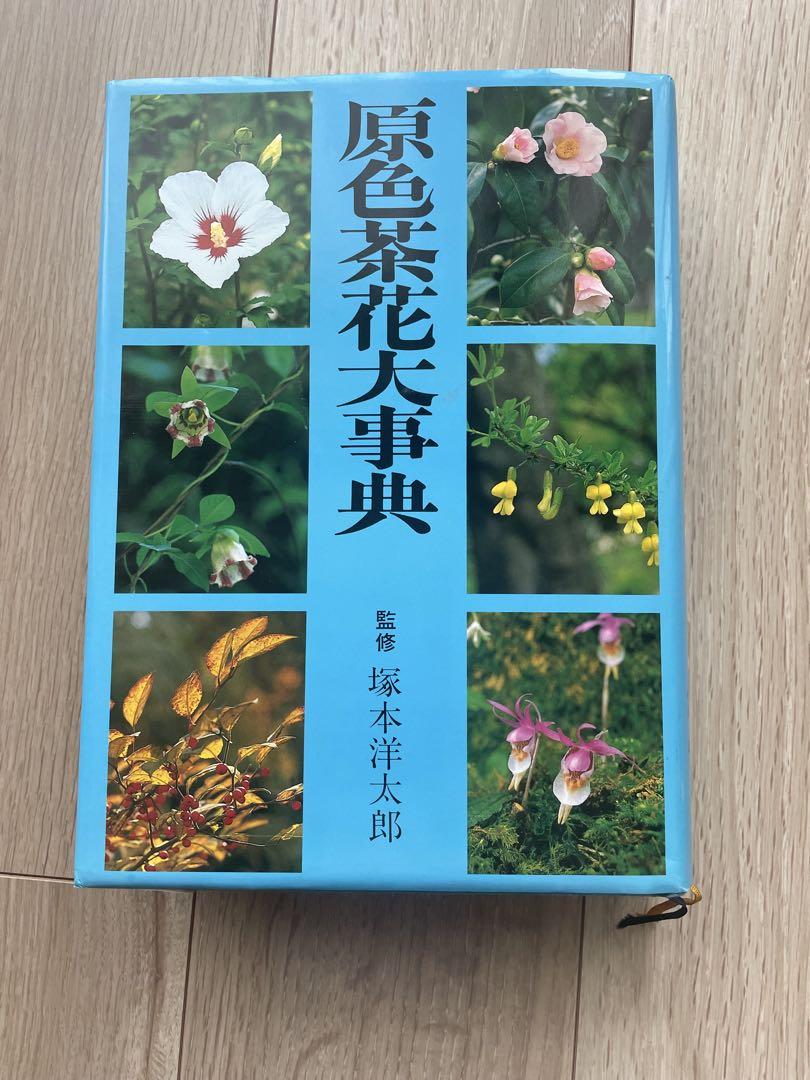 おすすめネット 原色茶花大事典 メルカリ - 塚本洋太郎監修 淡交社 人文