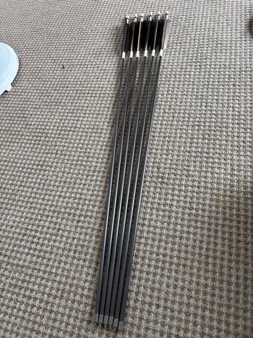 カーボン製矢 6本 羽毛付き