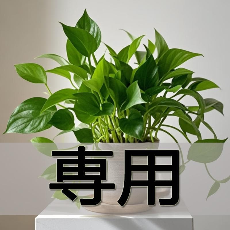 ち様 専用ページ