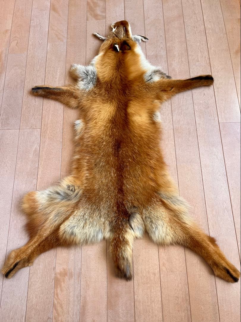 フォックス 毛皮 リアルファー R5 ★ラグ キャンプ アウトドア はぎれ