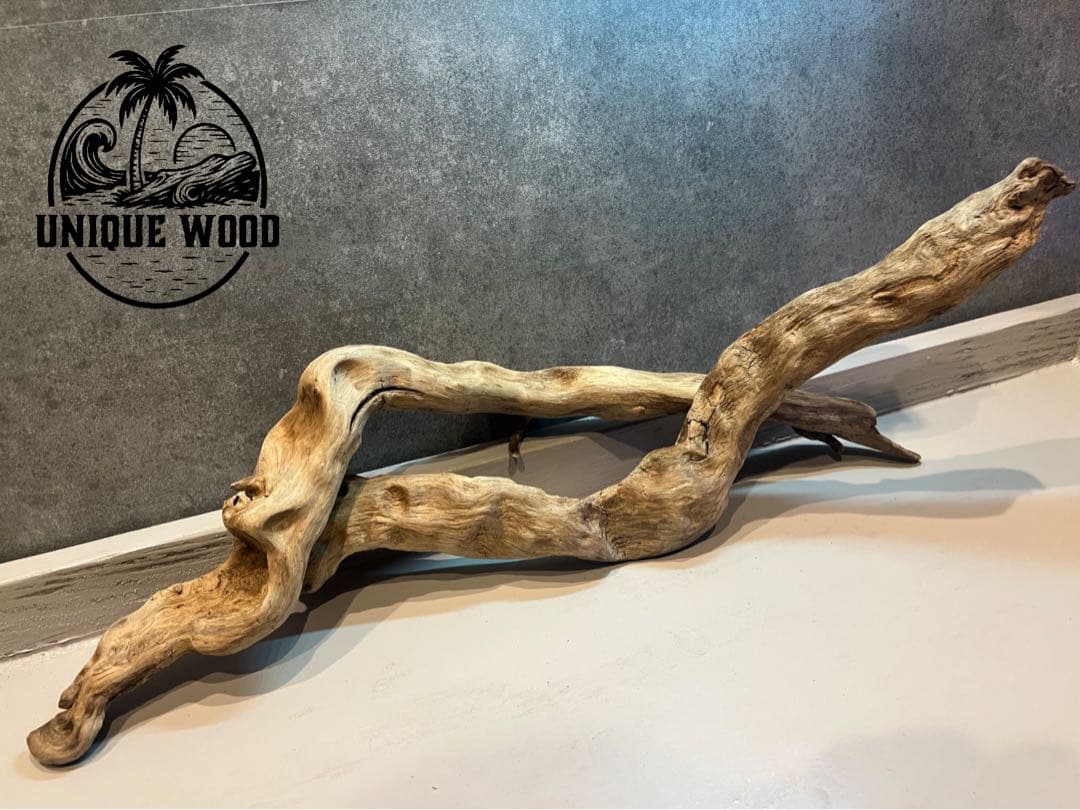 天然流木　アクアリウム　ADA インテリア　煮沸済み　沈水確認済み　【122】