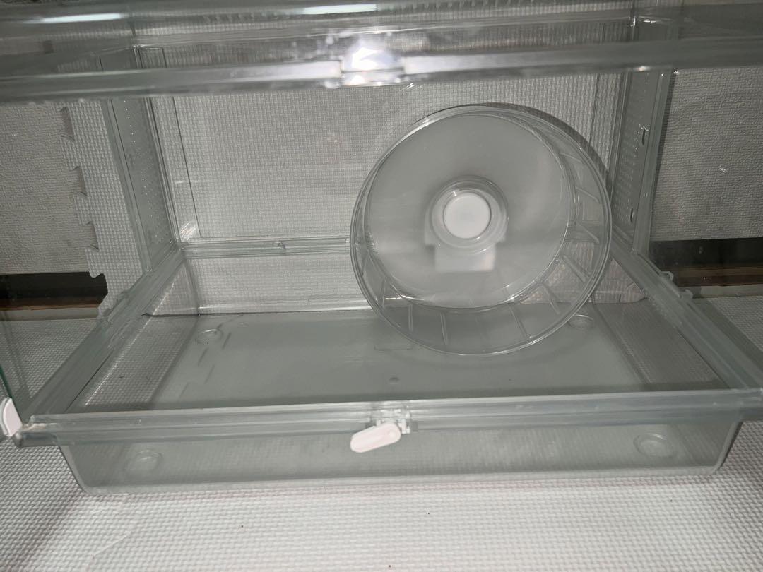 グラスハーモニー＋飼育に必要な物の数々