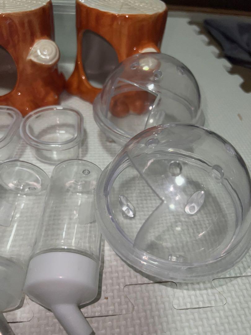 グラスハーモニー＋飼育に必要な物の数々