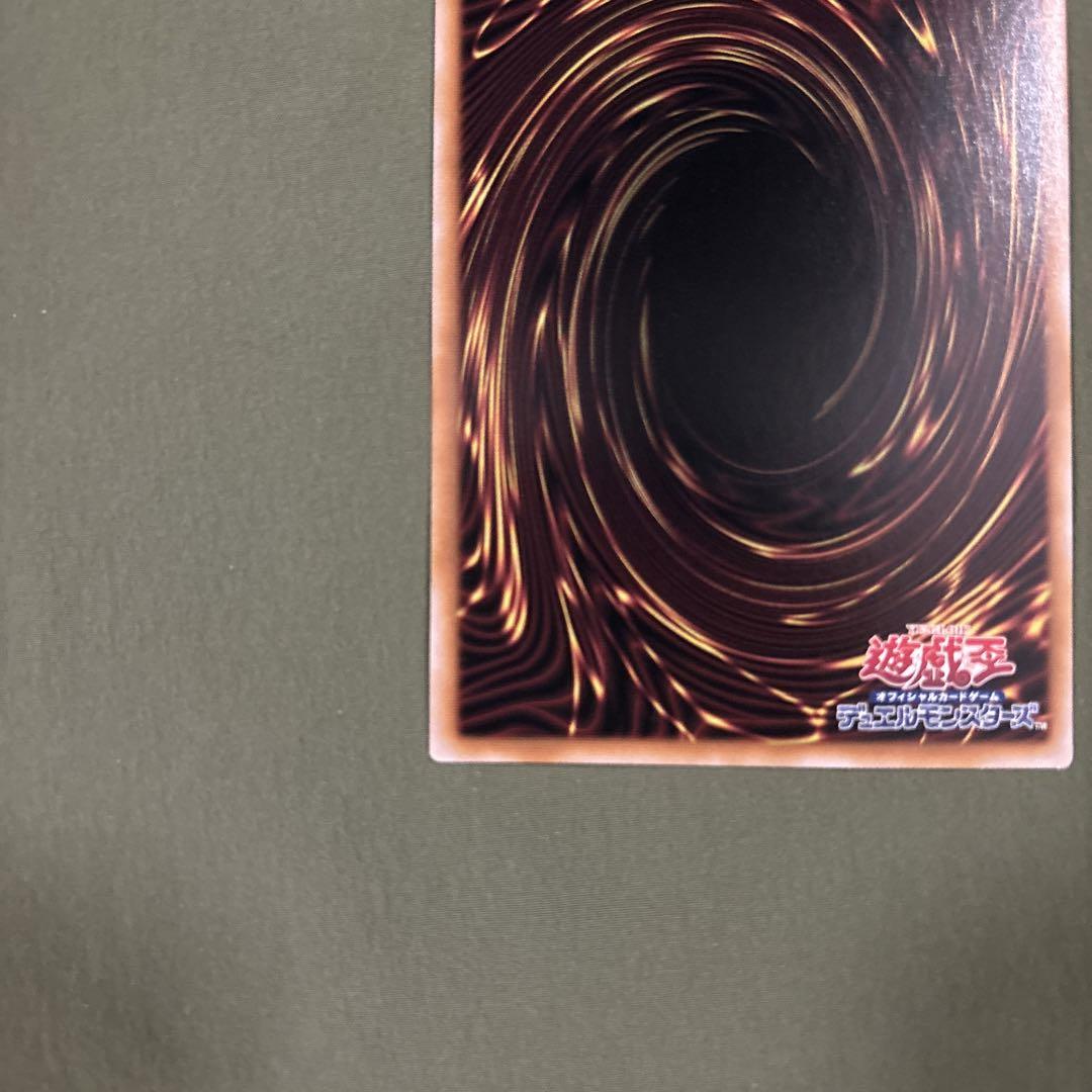 ドラゴンメイドハスキー　ドラゴンメイド・ハスキー　絵違い　セレクション5