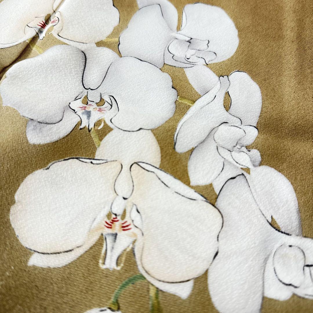 色留袖 美しい胡蝶蘭 暈しに金彩 三つ紋 着物 正絹 袷 広衿 RK