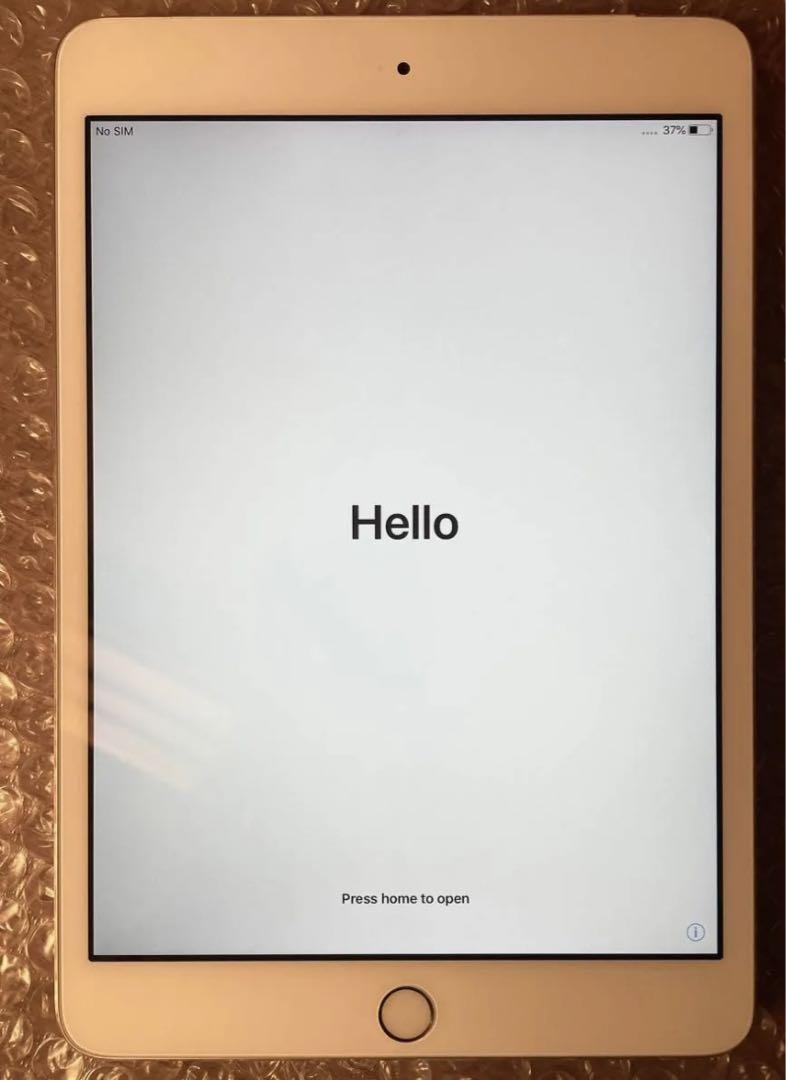 iPad mini3