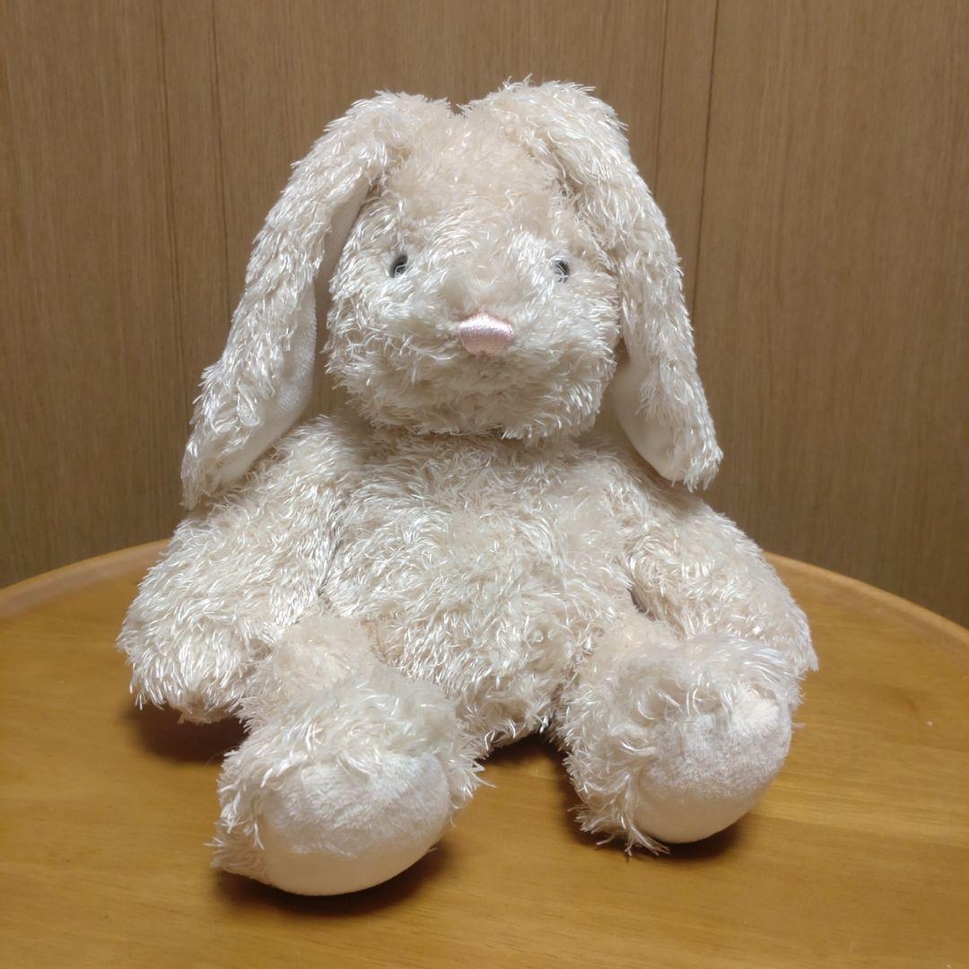 habitat うさぎ