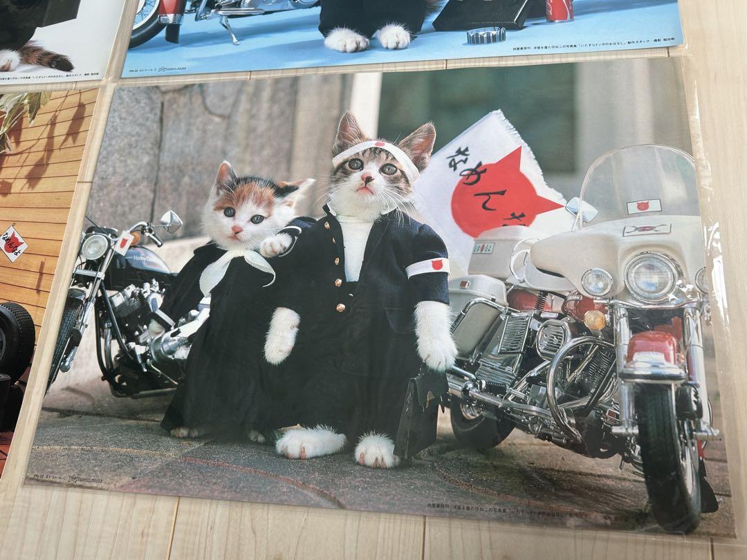 なめ猫 なめんなよ ポスター 4種