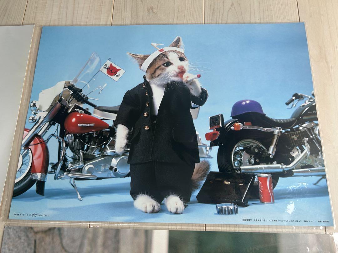なめ猫 なめんなよ ポスター 4種
