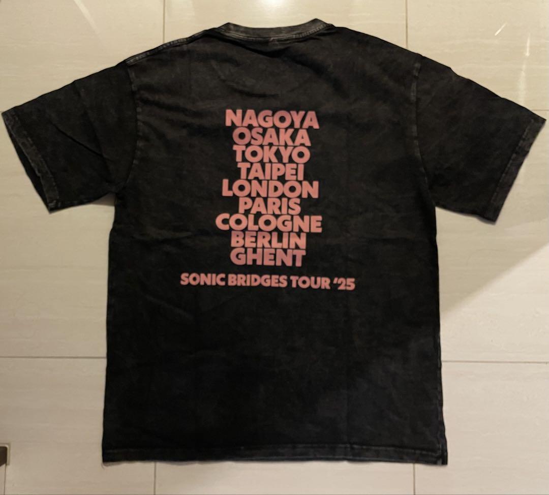 ミュージシャン ellegarden feeder tour T-shirts