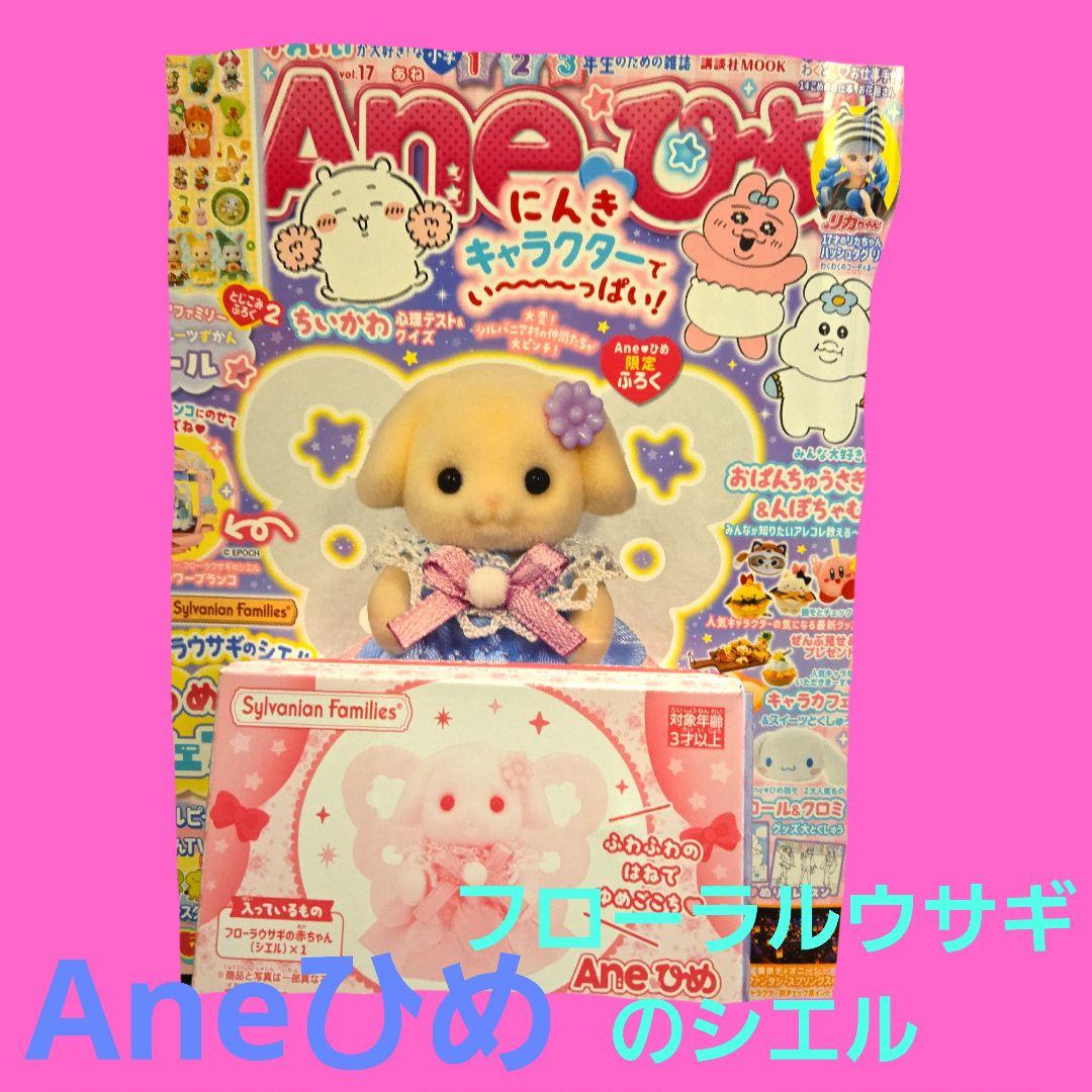 Ane ひめ　vol 17 本と付録のセット完品　5冊 Ane ひめvol 17 本と付録のセット完品5冊