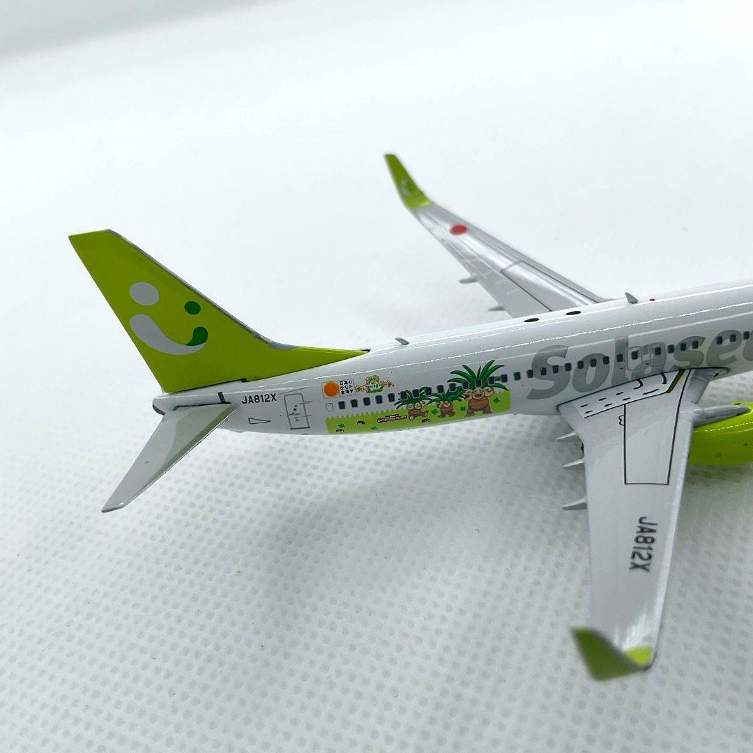 BOEING 737-800 JA812X ソラシドエア　ナッシーリゾート