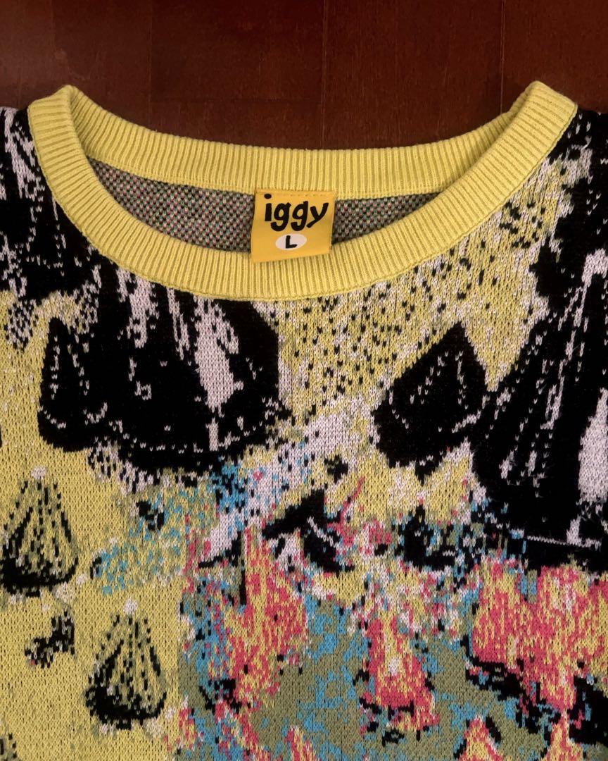 iggy nyc ニットセーター / 美品