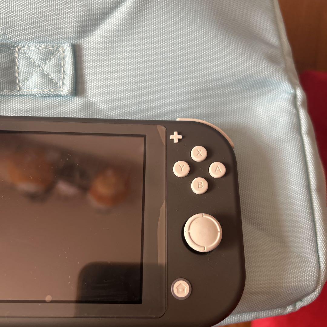 Nintendo Switch LIte（ケース、フィルム着き）