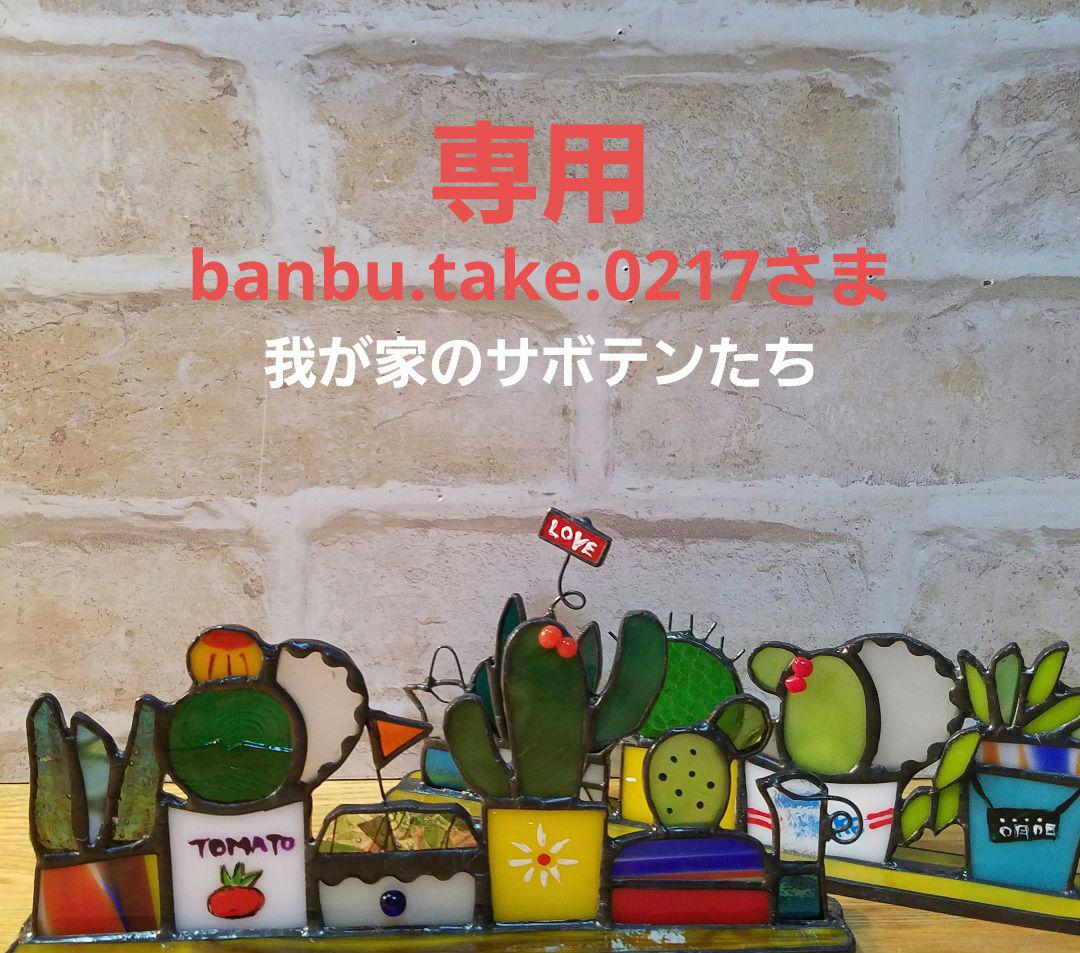ステンドグラス　我が家のサボテンたち