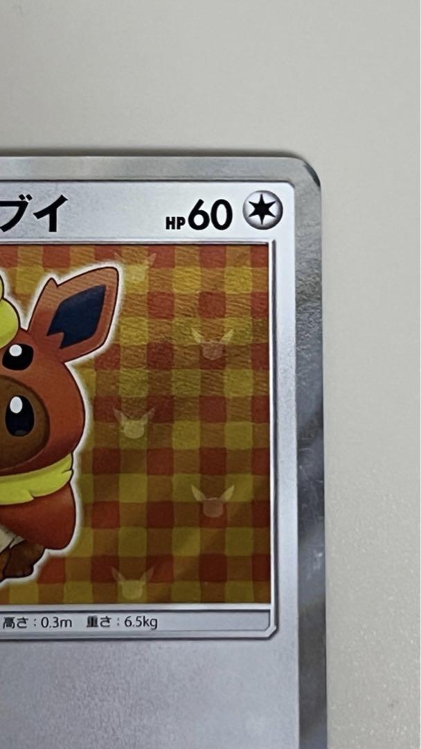 ポンチョを着たイーブイ(ブースター)(139/SM-P) | プロモ
