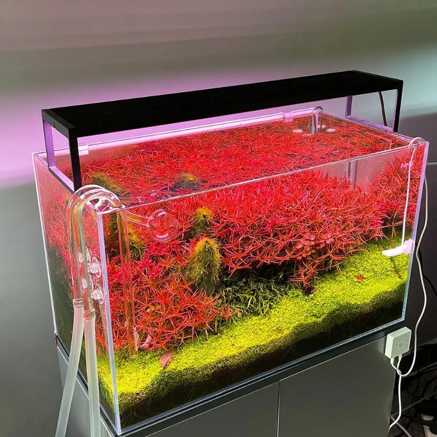 Chihiros LED WRGB2 SLIM60ブラック2400lm 60cm