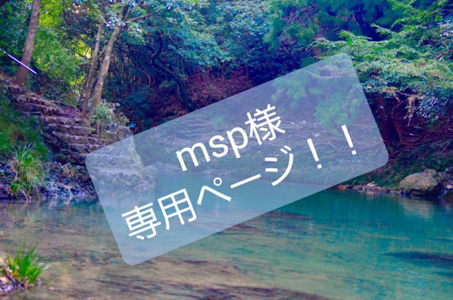 mspページ