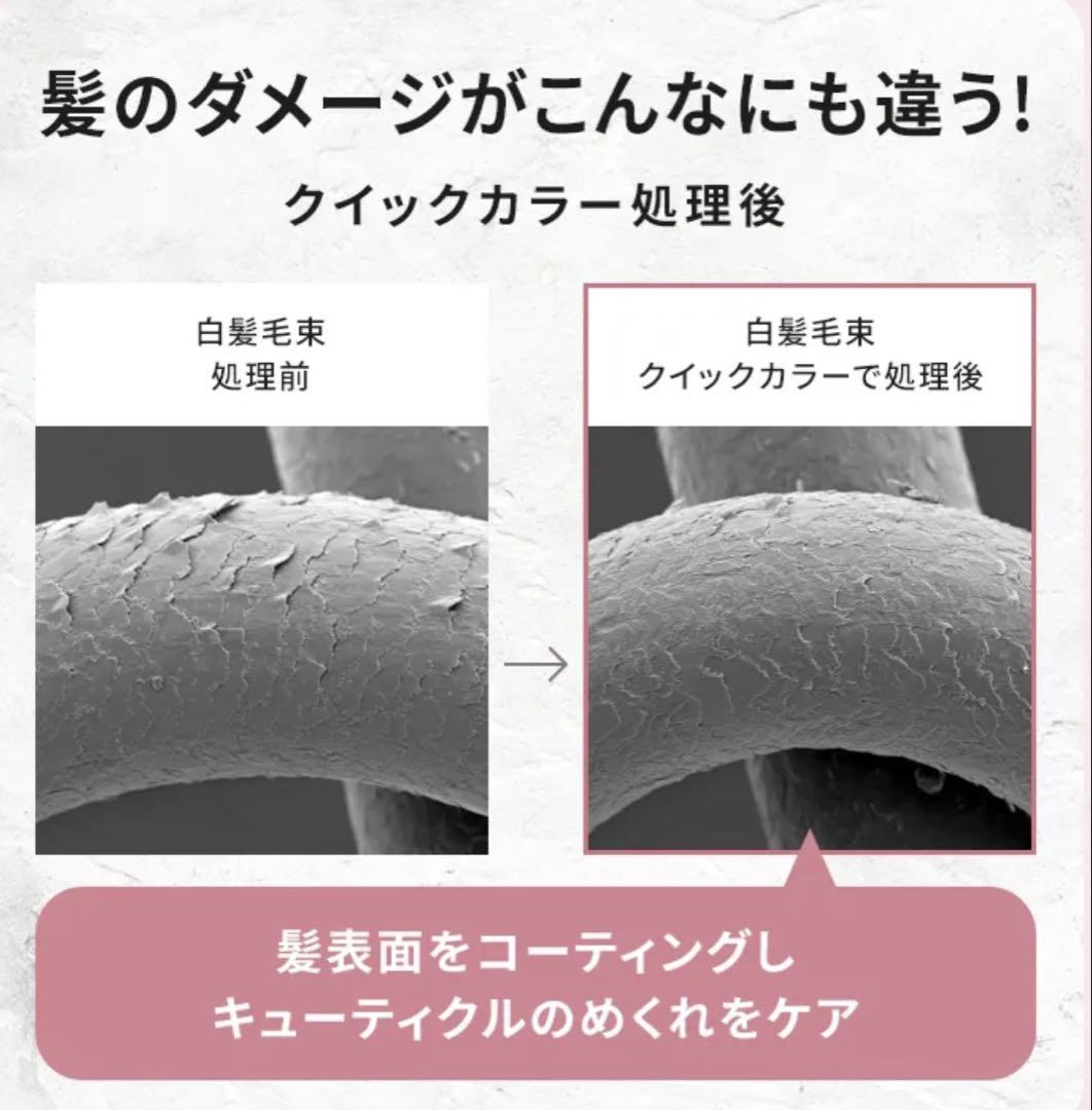 クレイエンス クレイスパ クイックカラー シアーアッシュ【新品】【未開封】