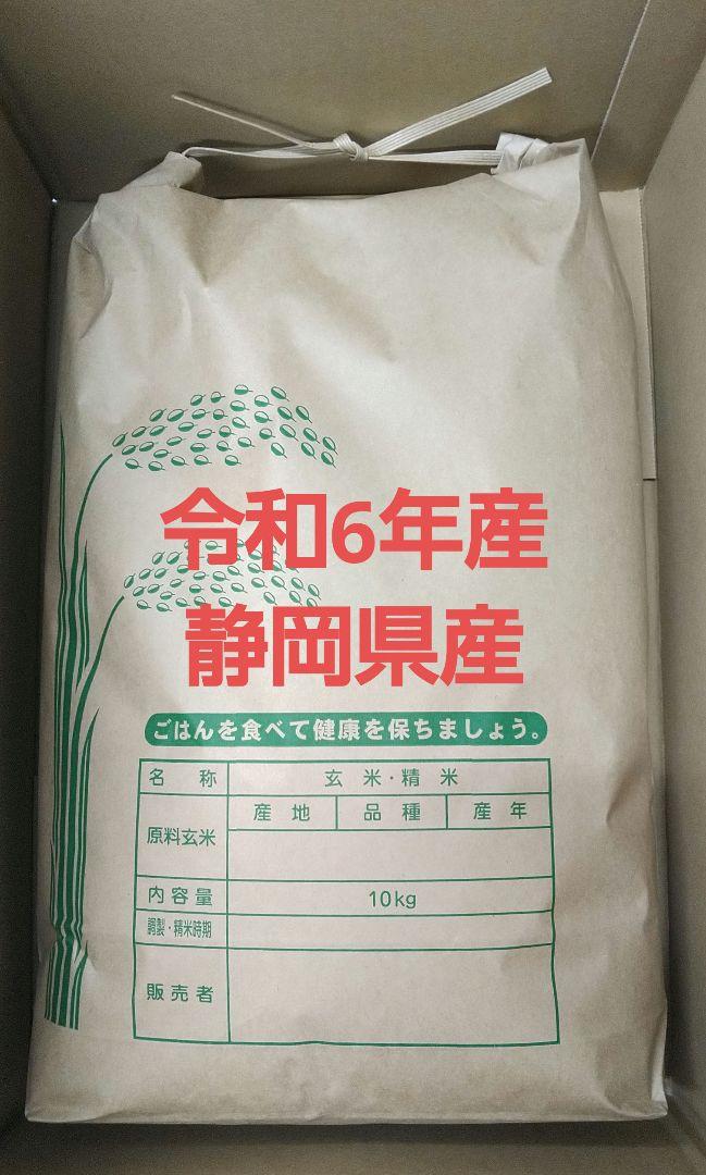 米 10kg 令和6年 静岡県産(無洗米)