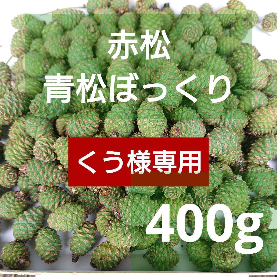 くう様専用です】青松ぼっくり 青ぼっくり 400g 赤松 SS - メルカリ