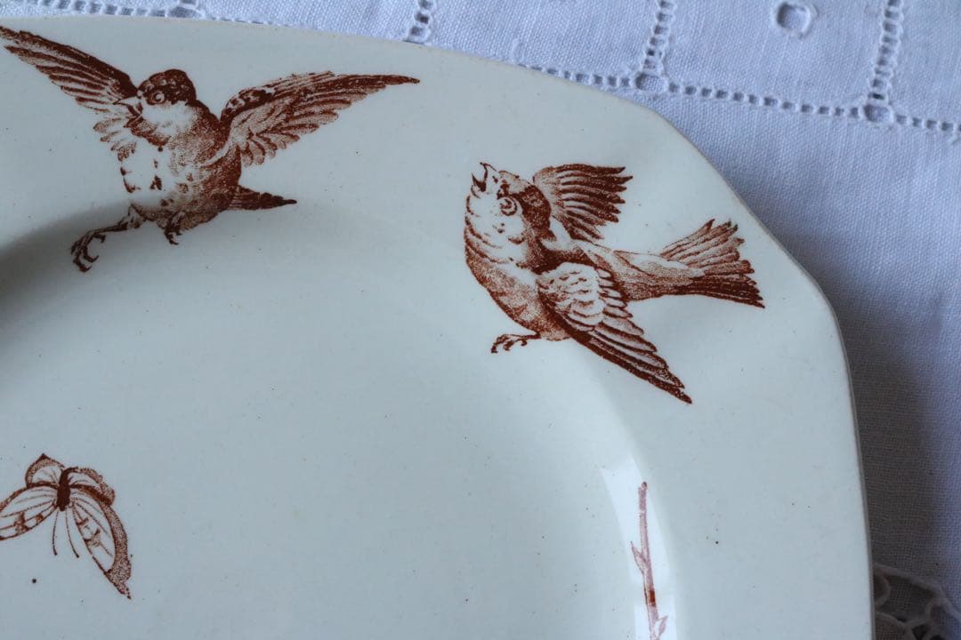 ブラウン フランス