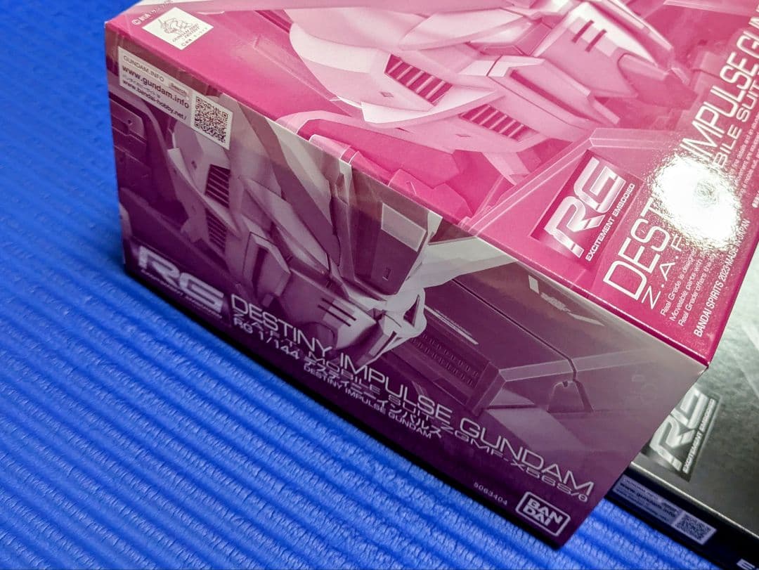 RG デスティニーインパルス＋光の翼セット